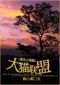 Big Cat League